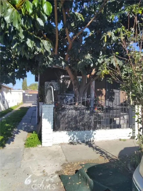 113 66 ST, Los Angeles, CA 90003 - #3