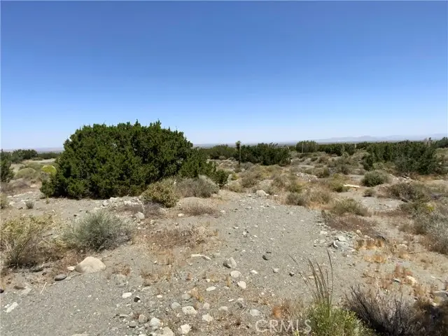 0 Phelan, Pinon Hills, CA 92372 - Image #3