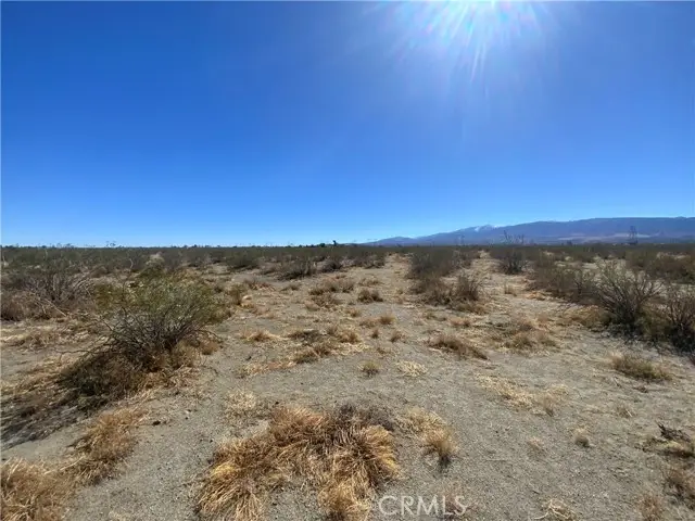 2975 Yucca Terrace, Pinon Hills, CA 92372 - Image #2