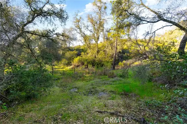 1 Ridgeview Circle, Sutter Creek, CA 95685