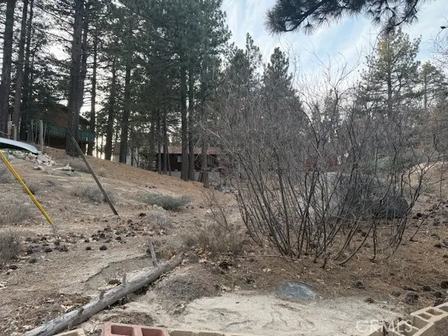 0 Iris Drive, Green Valley Lake, CA 92341 - Image #3