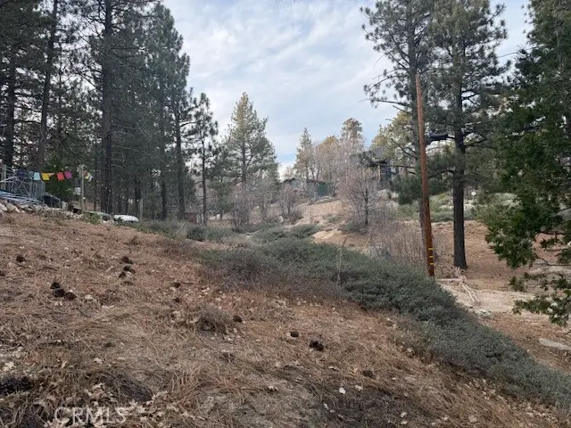 33275 Iris Drive, Green Valley Lake, CA 92341 - Image #2