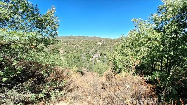 0 Coulter, Cedar Glen, CA 92321 - Image #2