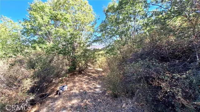 0 Coulter, Cedar Glen, CA 92321 - Image #3