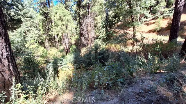 0 El Valle, Cedarpines Park, CA 92322 - #1