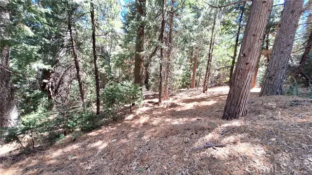 0 Cedar Pines, Cedarpines Park, CA 92322 - #1
