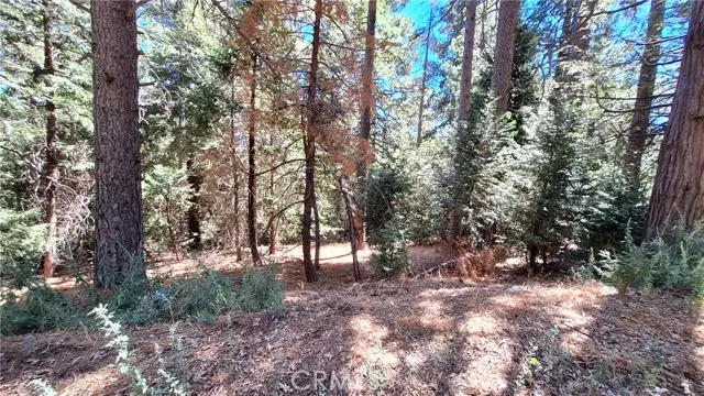 0 Cedar Pines, Cedarpines Park, CA 92322 - #2