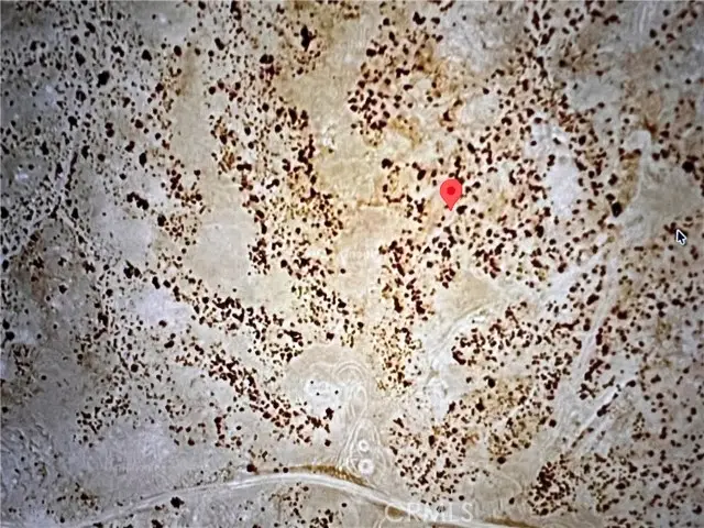 1 HINKLEY RD, Hinkley, CA 92347 - #2