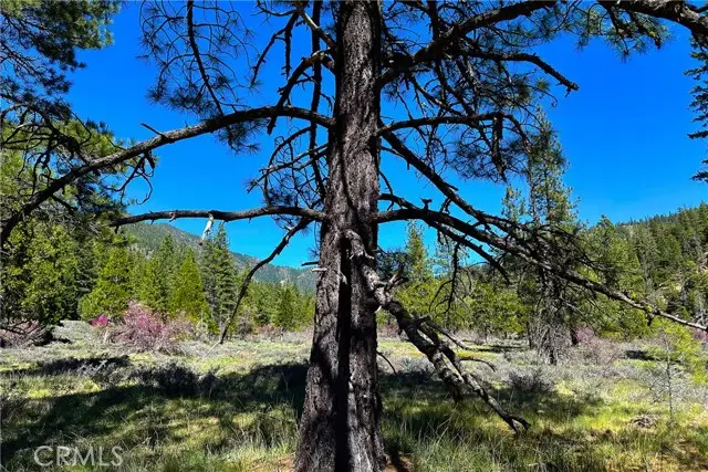 79402 State Highway 3, Trinity Center, CA 96091 - #2