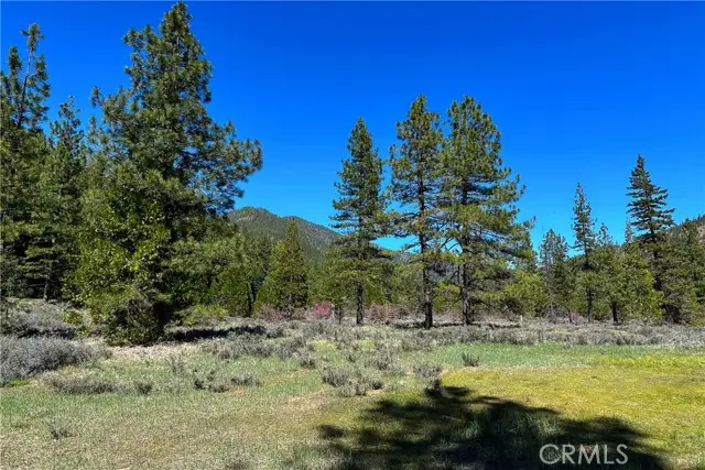 79402 State Highway 3, Trinity Center, CA 96091 - #3