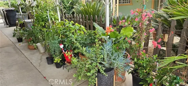 30949 Palmetto Palm Avenue, Homeland, CA 92548 - #3