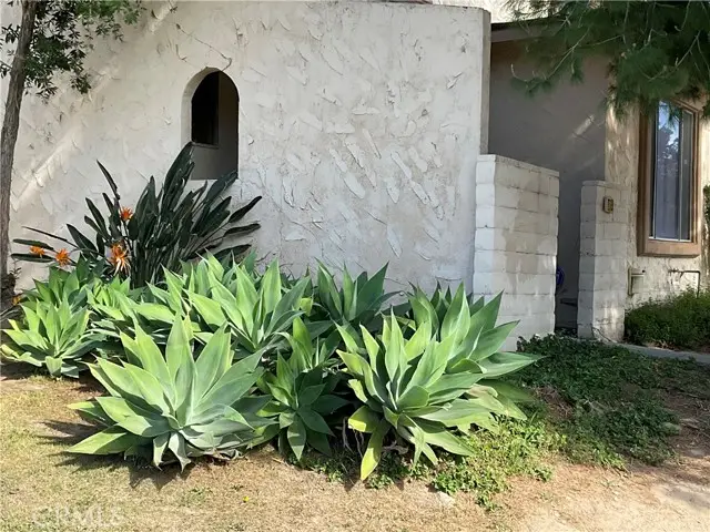 3700 Mountain Ave  #6B, San Bernardino, CA 92404 - #2