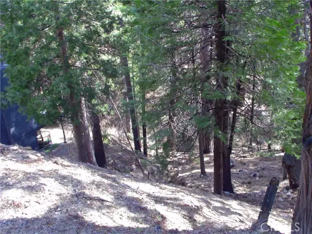 2379 Spring Oak, Running Springs, CA 92382 - #1