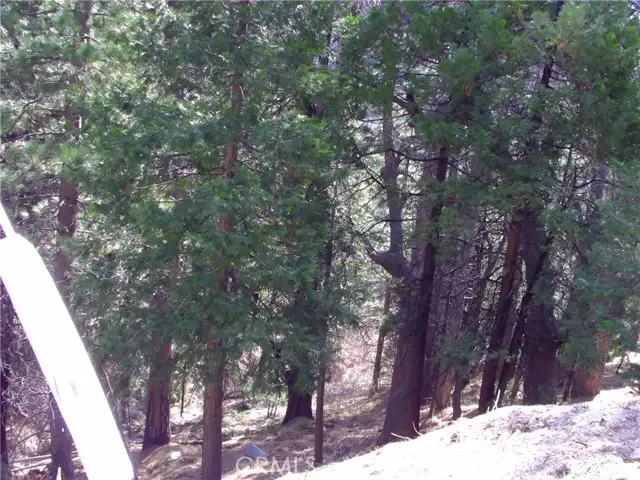 2379 Spring Oak, Running Springs, CA 92382 - #3