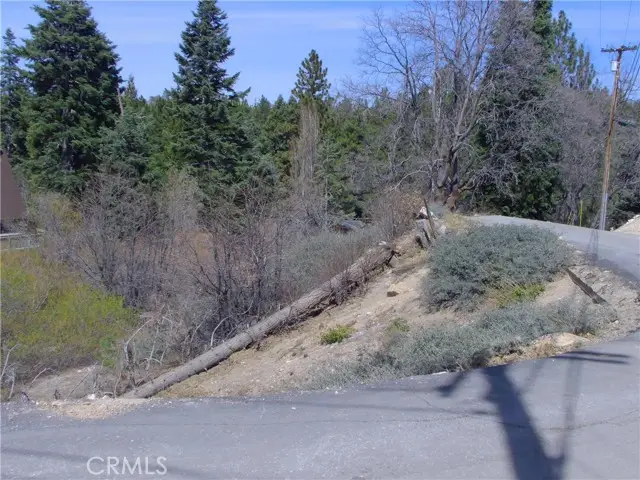 33564 Falling Leaf dr., Green Valley Lake, CA 92341 - #3