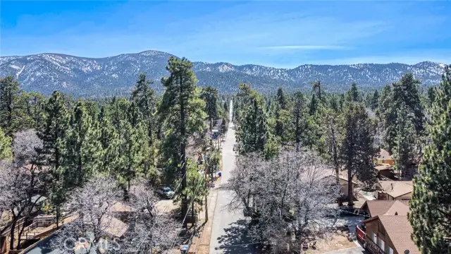 427 Holmes, Sugarloaf, CA 92386 - #3