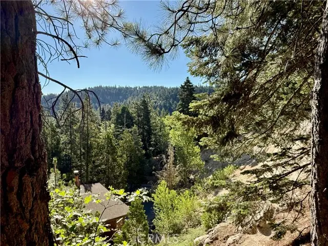 872 Sierra Vista  #30, Twin Peaks, CA 92391 - #1