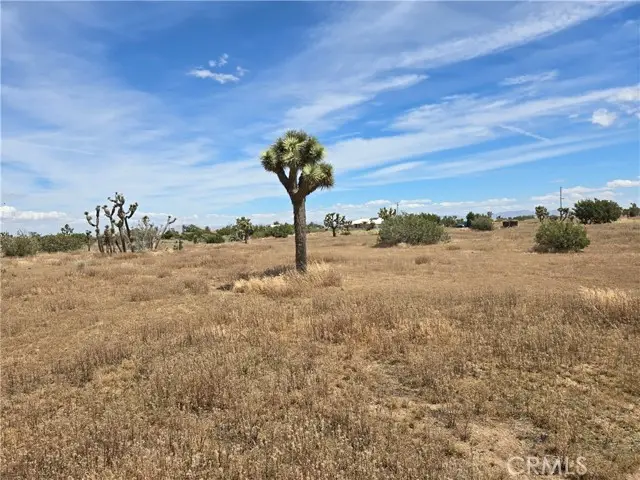 0 Aster, Hesperia, CA 92344 - #1