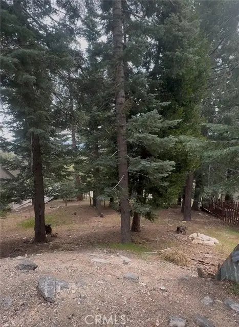 295 Grandview, Twin Peaks, CA 92391