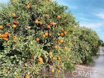 10640 Victoria Ave, Riverside, CA 92503 - #2