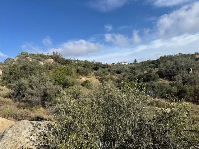 50750 Anzanita Lane, Anza, CA 92539 - #2