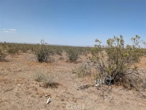 4 Blanco, Pinon Hills, CA 92372