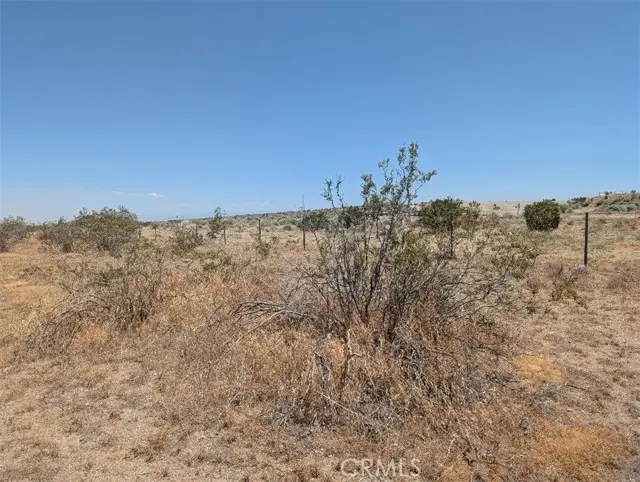 4 Avenue Xave #X2, Llano, CA 93544 - #3