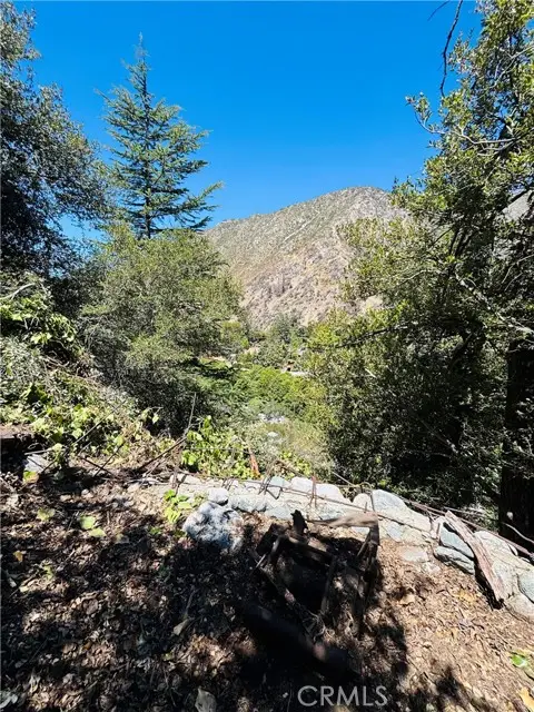 955 San Antonio Creek, Mount Baldy, CA 91759 - #1