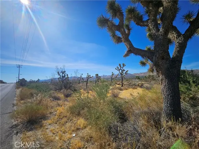 6961 Cherokee Trail, Yucca Valley, CA 92884 - #2