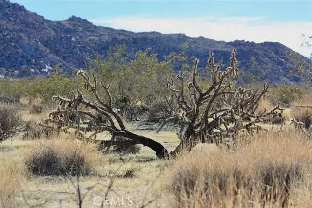 64647 Foothill Drive, Joshua Tree, CA 92252 - #1