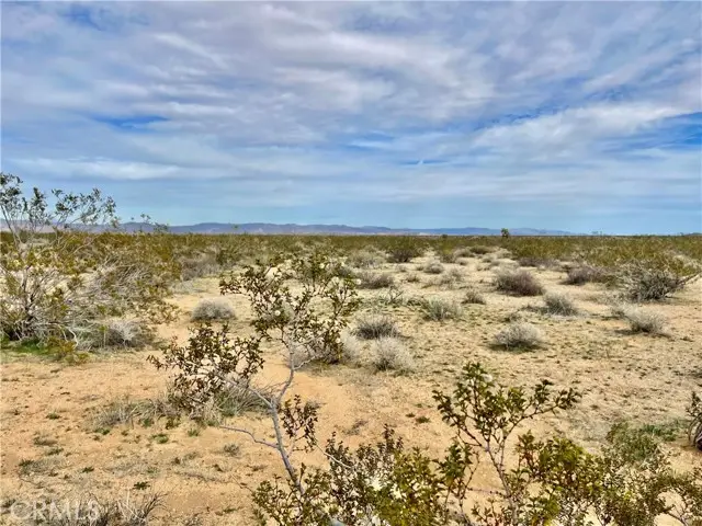 0 Willies Way, Landers, CA 92285 - #3