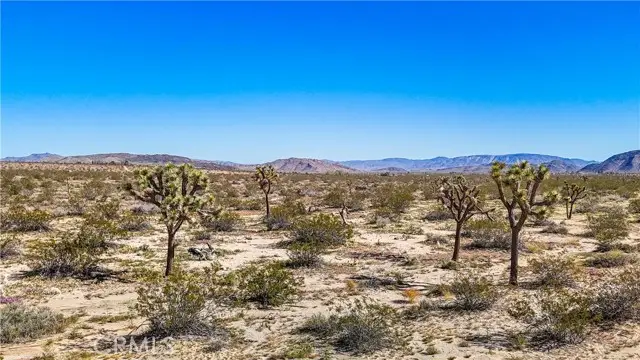 57645 Reche Road, Landers, CA 92285 - #2