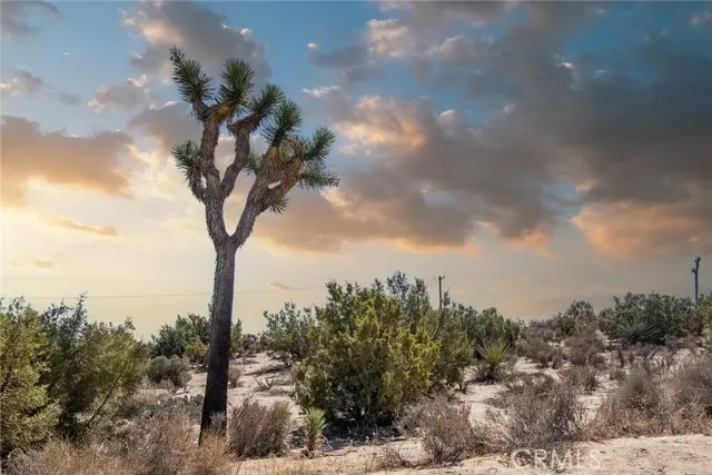 56600 Duarte Street, Yucca Valley, CA 92284 - #2