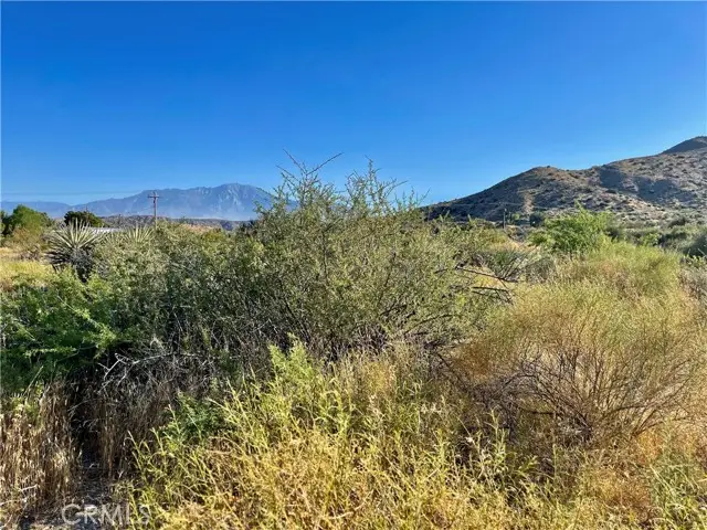 49200 Old Mill Road, Morongo Valley, CA 92256 - #2