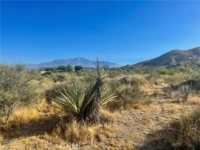 49200 Old Mill Road, Morongo Valley, CA 92256 - #3