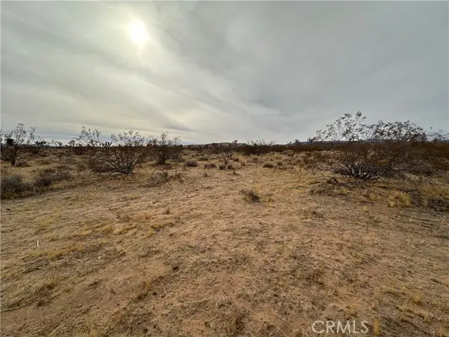 1 Canterbury, Yucca Valley, CA 92284 - #2