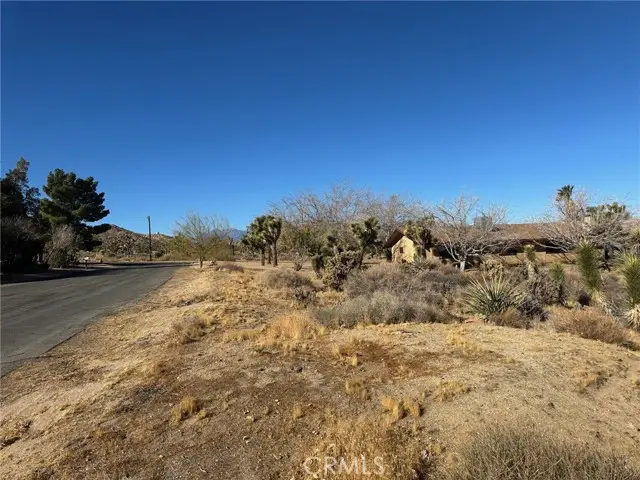56434 Desert Gold Drive, Yucca Valley, CA 92284 - #2