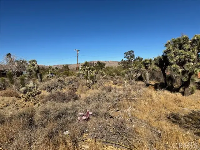 56434 Desert Gold Drive, Yucca Valley, CA 92284 - #3