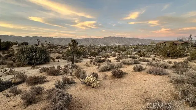 55370 Bunny Road, Yucca Valley, CA 92284 - #2