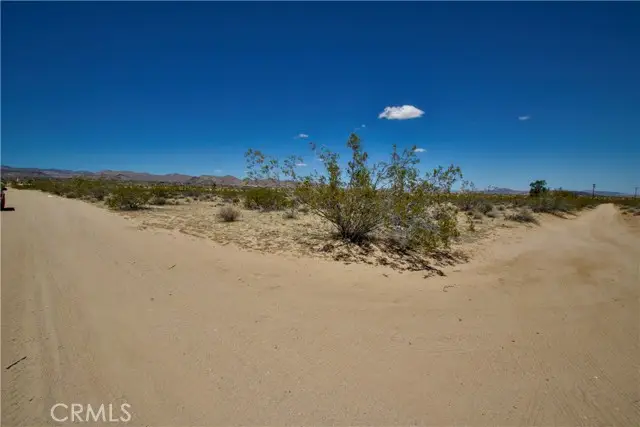 888 Lucky Lane, Landers, CA 92285 - #3