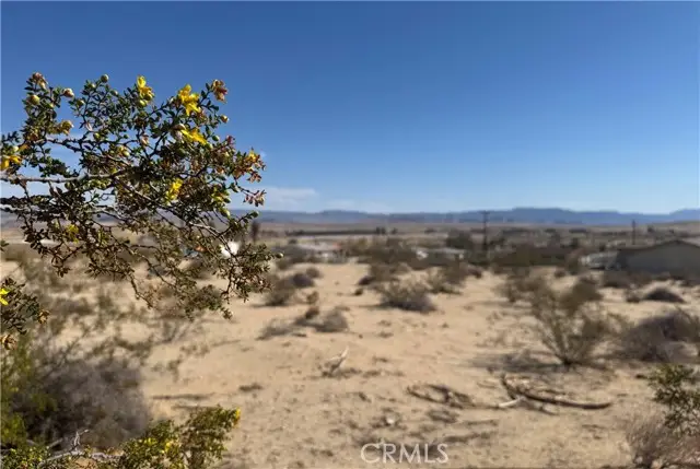 73735 Manana Drive, Twentynine Palms, CA 92277 - #3