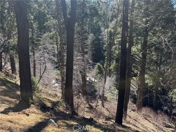 0 Sunderland Court, Lake Arrowhead, CA 92352