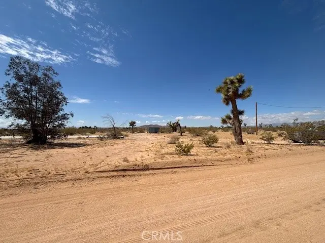 1 Mitch Road, Yucca Valley, CA 92284 - #2