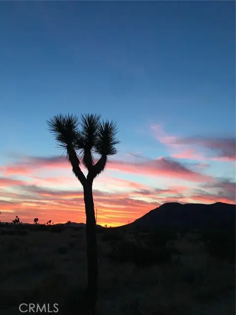 59990 Mitch Lane, Landers, CA 92285 - #1