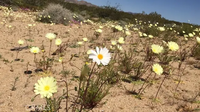 59990 Mitch Lane, Landers, CA 92285 - #2