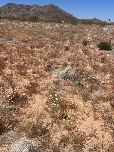 59990 Mitch Lane, Landers, CA 92285 - #3