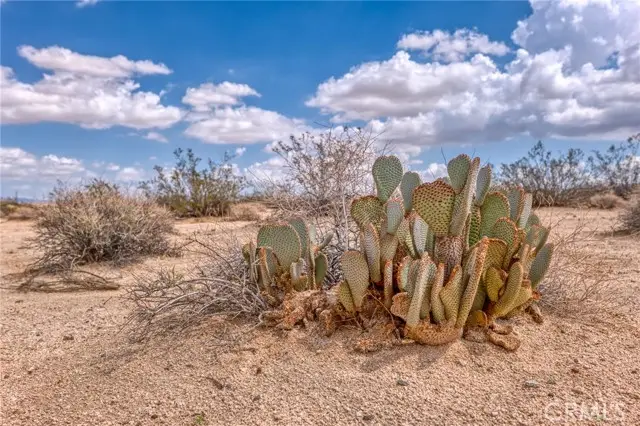 104 Mantonya Road, Twentynine Palms, CA 92277 - Image #3