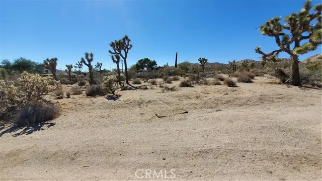 12345 Yucca Vista Avenue, Yucca Valley, CA 92284 - #2