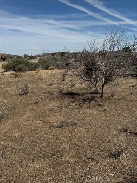 0 Minna Gombell, Pioneertown, CA 92268 - #2