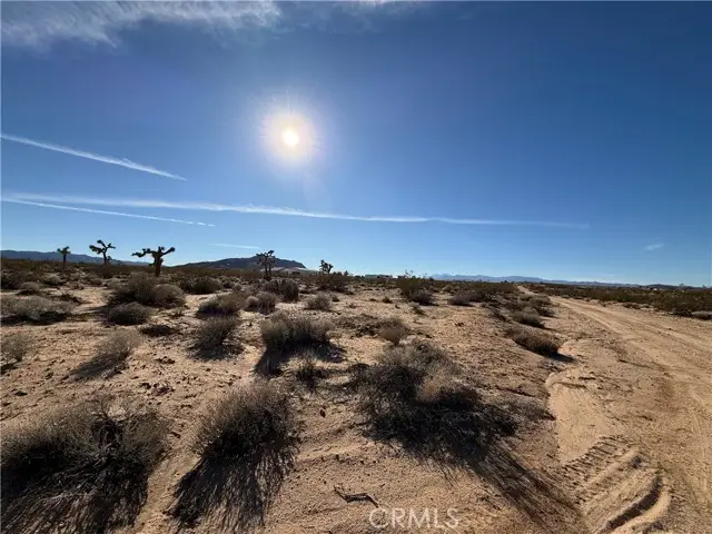 0 Manana, Joshua Tree, CA 92252 - #2